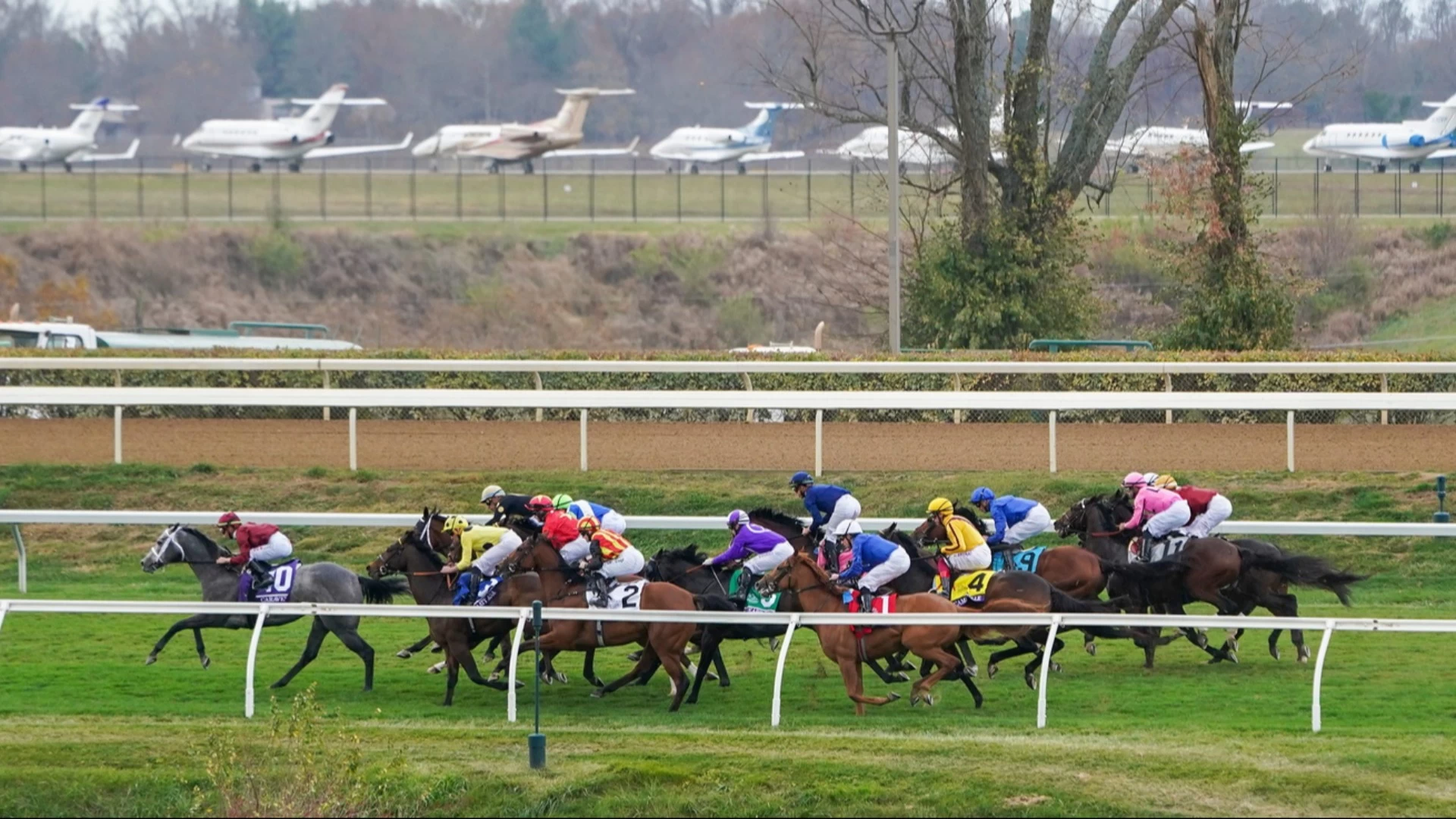 Race Analysis: Perryville Stakes Grade 3 Preview & Tips