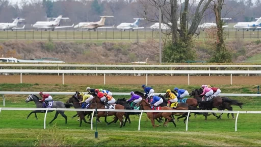 Race Analysis: Perryville Stakes Grade 3 Preview & Tips