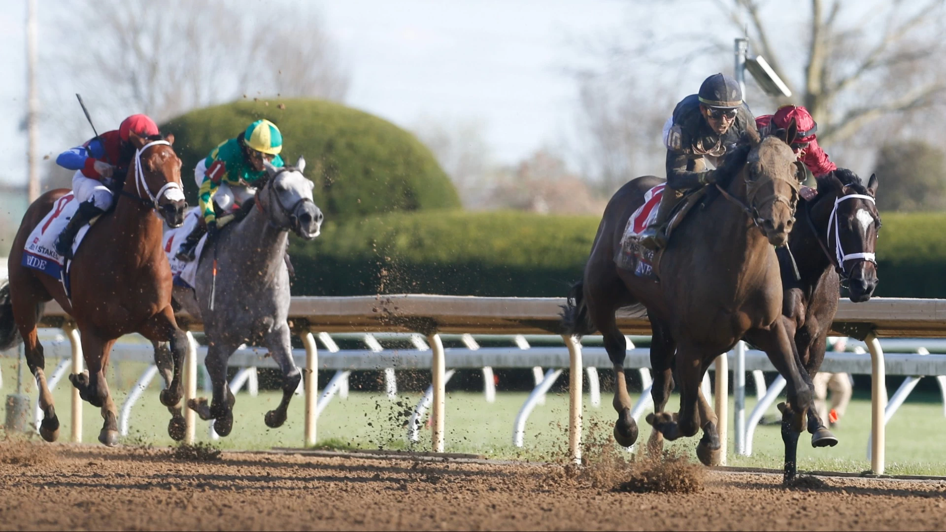 Previewing Bowman Stakes: Horse Racing Insights & Picks
