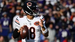 Bears vs. Bengals Game Analysis: Who Takes This Week 9 Tilt?