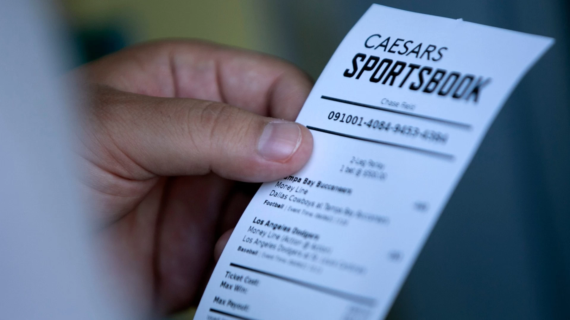 Sports Betting NFL Season Recap: Books Continue to Take a Hit