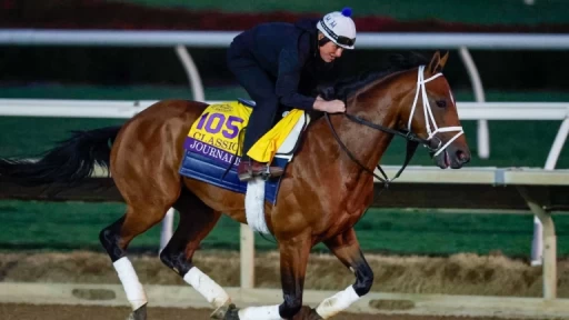 Previewing the Fierce Line-Up at the Breeders' Cup Classic