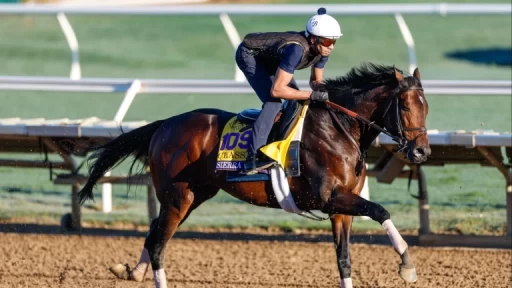 Sierra Leone's Strategy in This Year’s Breeders' Cup Classic