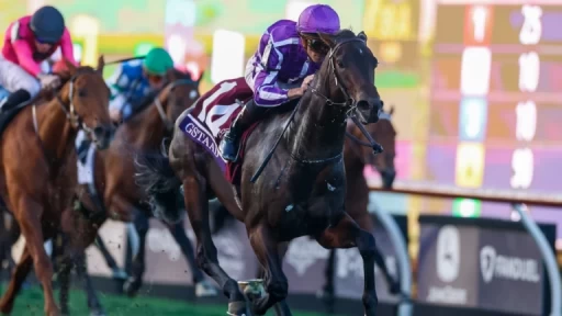 Top Breeders Cup Contenders and Predictions for Today