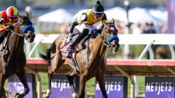 Exploring Horse Racing Dynamics: Zeitlos and Splendora