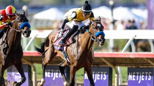 Exploring Horse Racing Dynamics: Zeitlos and Splendora