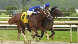 Analyzing Top Contenders in the Upcoming Hill Prince Stakes