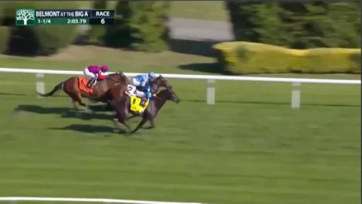 No Show Sammy Jo's Struggles and Beach Bomb's Strong Form