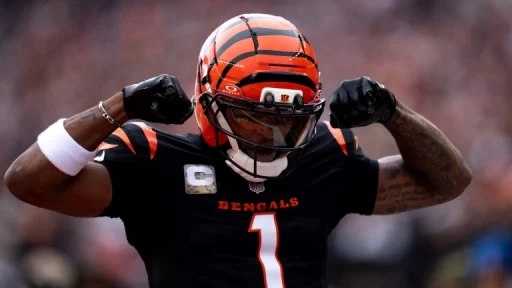 Bengals Face Steelers in Crucial AFC North Matchup