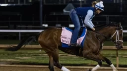 Grade Three Chilukki Stakes Preview at Churchill Downs