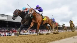 Analysis of Key Horses in the Dave's Friend Stakes Race