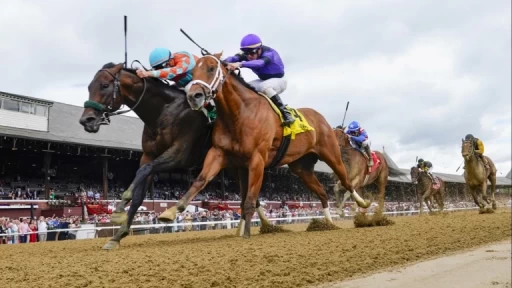 Analysis of Key Horses in the Dave's Friend Stakes Race