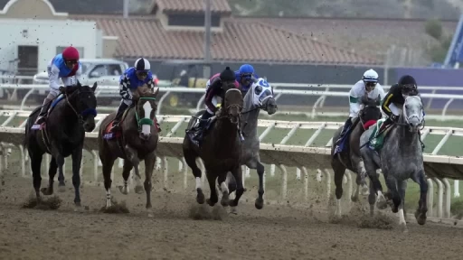 Guide to Native Diver Stakes Grade 3 Race at Del Mar