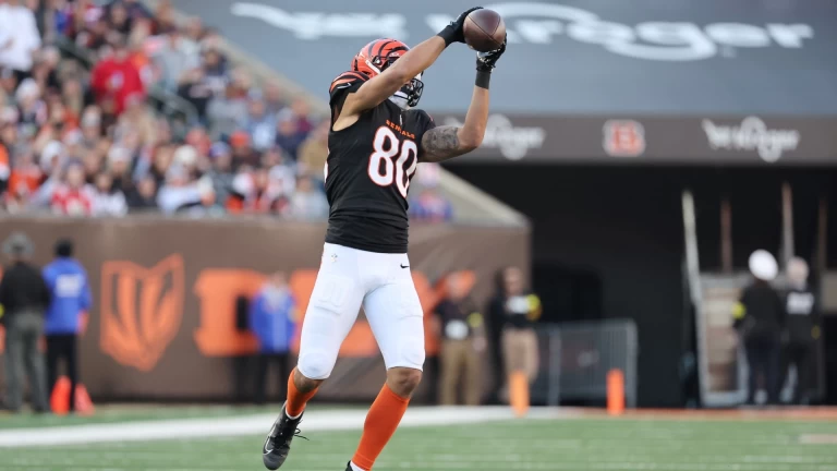 Thanksgiving Fantasy Football Preview: Week 13 Waiver Wire