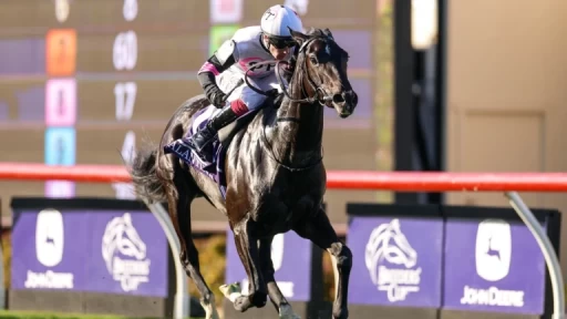 Scott & Gino Preview Hollywood Derby at Del Mar This Saturday