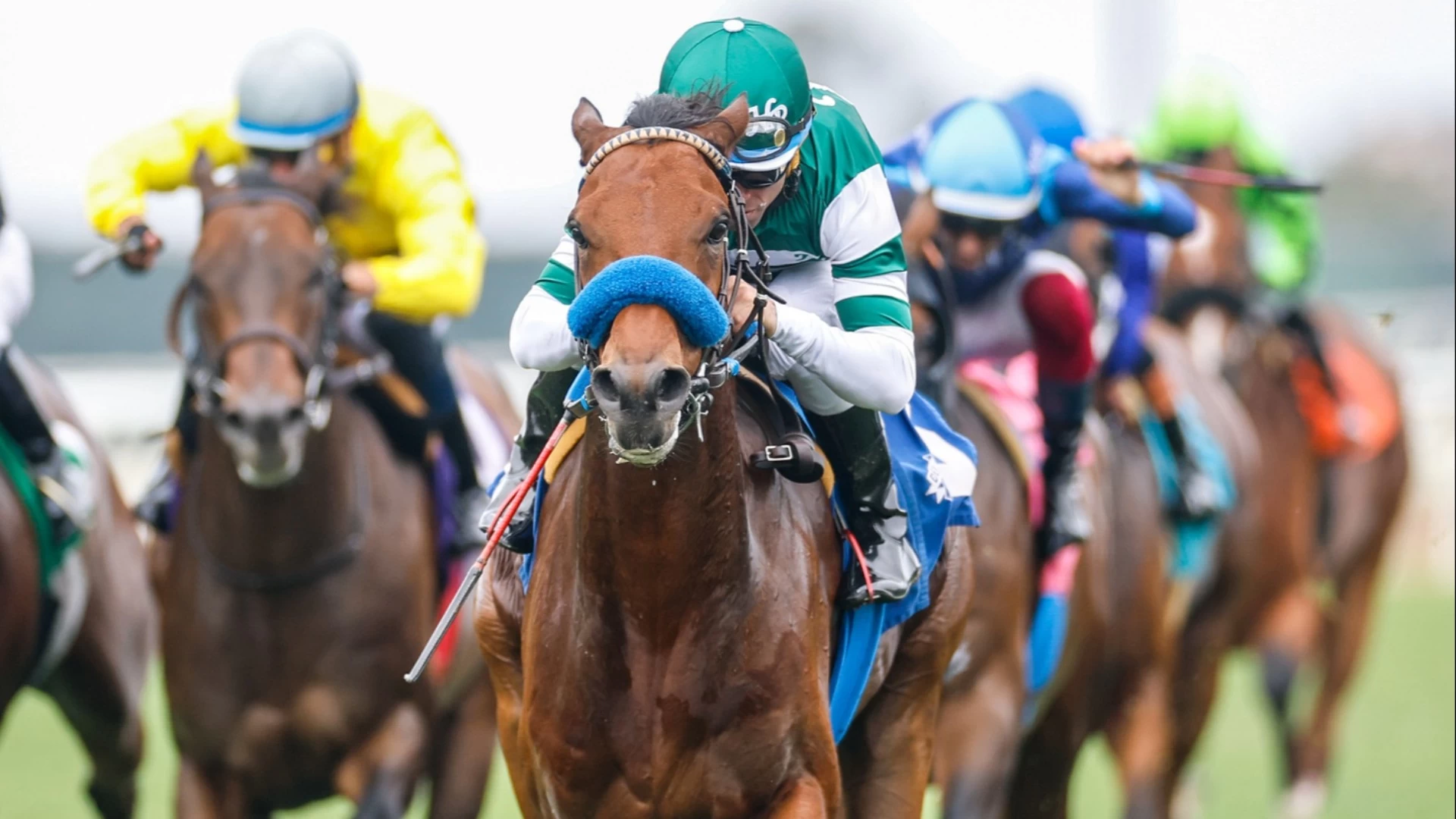 Grade 2 Remsen Race Preview: Key Contenders Analyzed