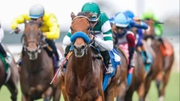 Grade 2 Remsen Race Preview: Key Contenders Analyzed