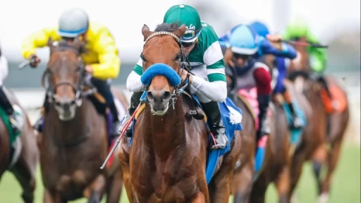 Grade 2 Remsen Race Preview: Key Contenders Analyzed