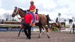 Sunshine Filly and Mare Turf Stakes Overview: $75K Prize