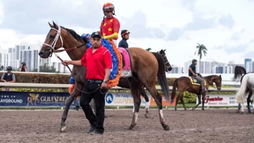 Sunshine Filly and Mare Turf Stakes Overview: $75K Prize