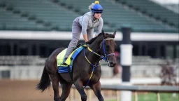 2026 Sunshine Classic Stakes: Horses to Watch & Predictions