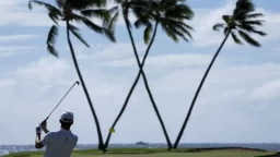 Navigating Bermuda Rough and Deep Bunkers in at Sony Open