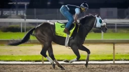 Lecomte Stakes Preview: Best Bets & Kentucky Derby Points