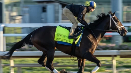 Previewing Louisiana Stakes Grade 3 Race 12 & Key Contenders Latest Video Thumbnail