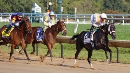 Insight on Talented Horse in the Silverbulletday Stakes