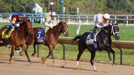 Insight on Talented Horse in the Silverbulletday Stakes Latest Video Thumbnail