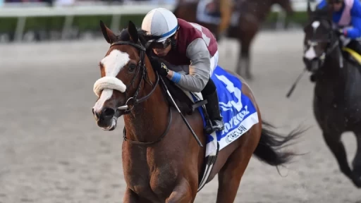 Grade 1 Pegasus World Cup Preview: Disco Time's Big Test Latest Video Thumbnail