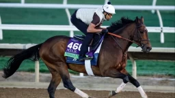 2026 Pegasus World Cup Turf Preview & Betting Picks