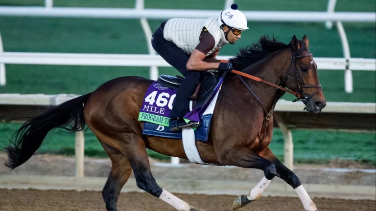 2026 Pegasus World Cup Turf Preview & Betting Picks