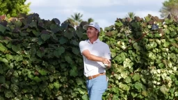 Understanding PGA Tour's Special Temporary Status in 2026