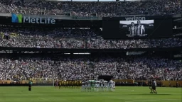 World Cup 2026: Transforming Sports Surfaces for Excellence