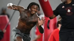 Debunking Misconceptions about Arvel Reese's NFL Draft Image