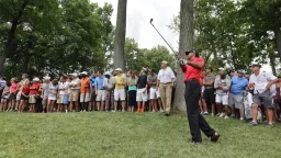 Tiger Woods' Continued Risky Behavior and Need for Guidance