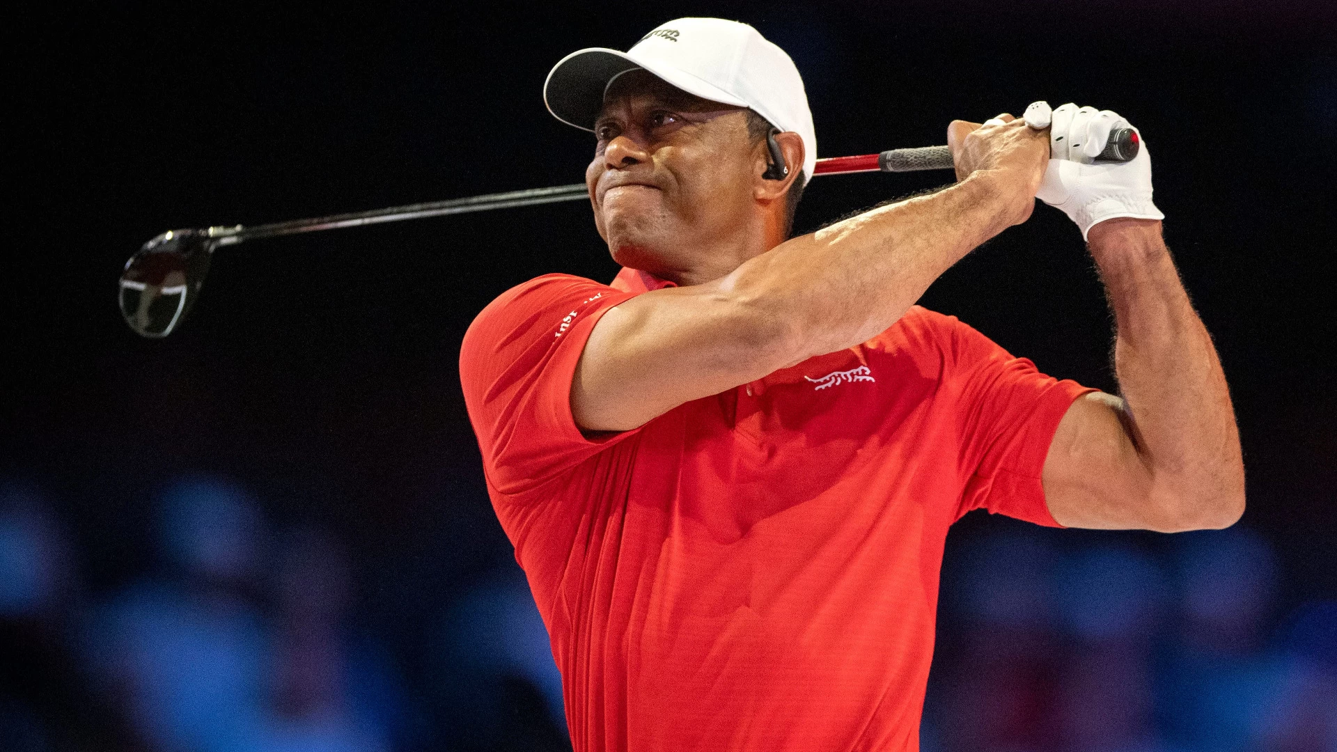 Endangered Legacy: Tiger Woods's Risky Behavior Exposed