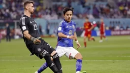 Indonesia to South Korea: Asian Nations' FIFA World Cup Saga