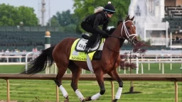 2026 Kentucky Derby: Odds, Analysis, and Betting Picks