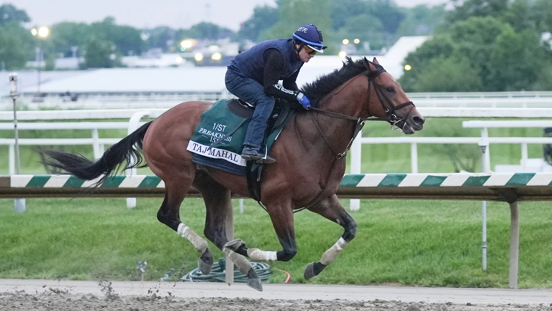 Preakness Stakes Preview: Robert Forbeck's Betting Picks