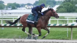 Preakness Stakes Preview: Robert Forbeck's Betting Picks
