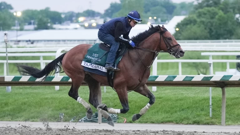 Preakness Stakes Preview: Robert Forbeck's Betting Picks