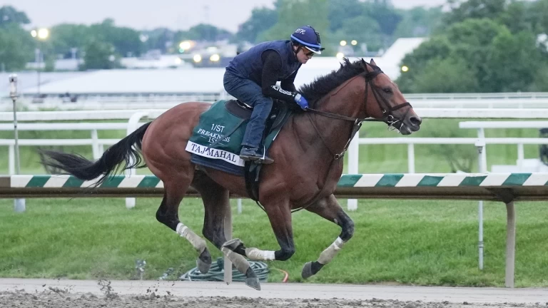 Preakness Stakes Odds Preview: Which Horses Are Worth Backing?