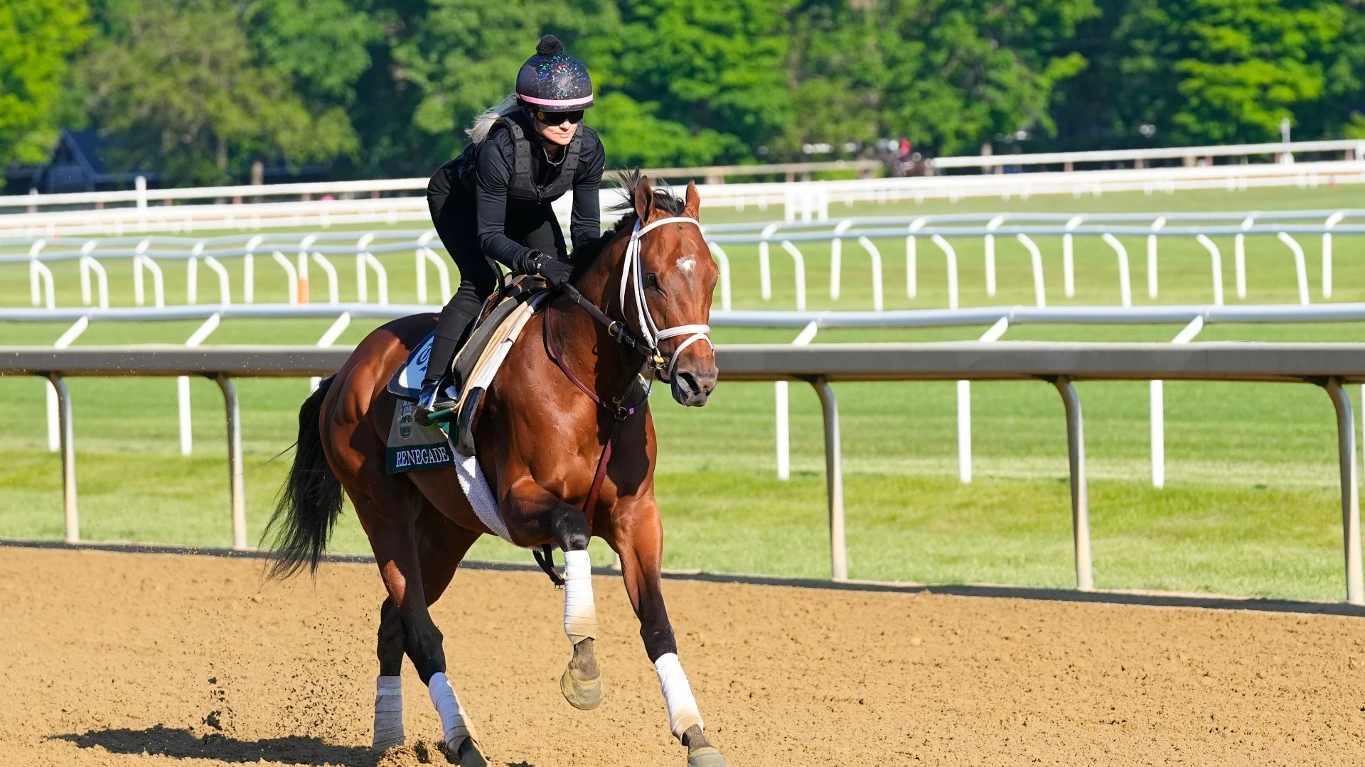 Renegade Eyes Redemption in Upcoming Belmont Stakes