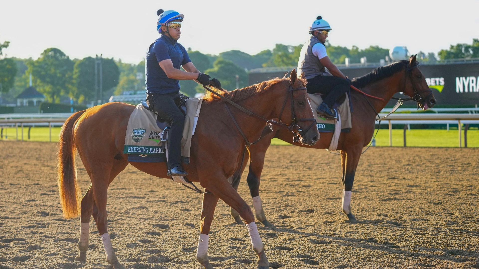Emerging Market: Assessing His Racing Chances & Odds