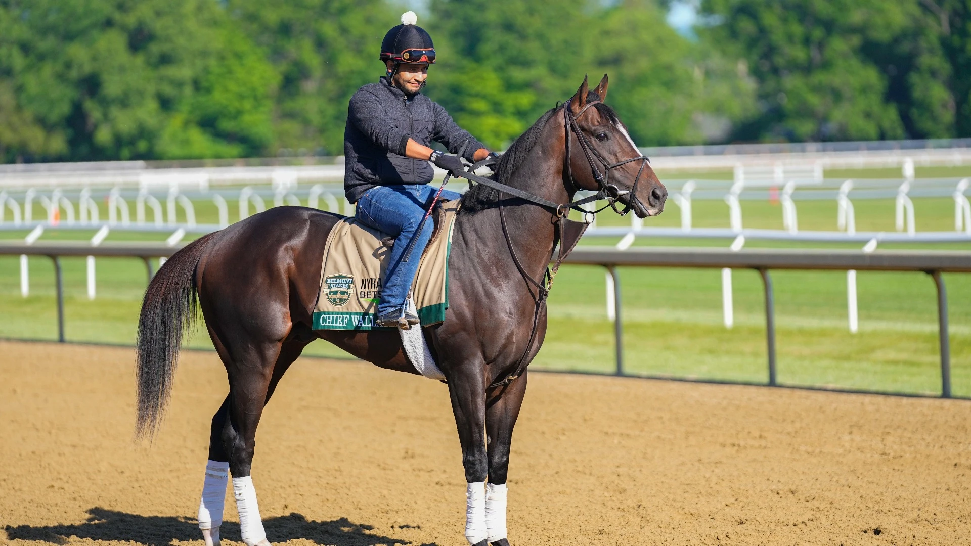 Chief Wallabe's Odds and Performance at Kentucky Derby