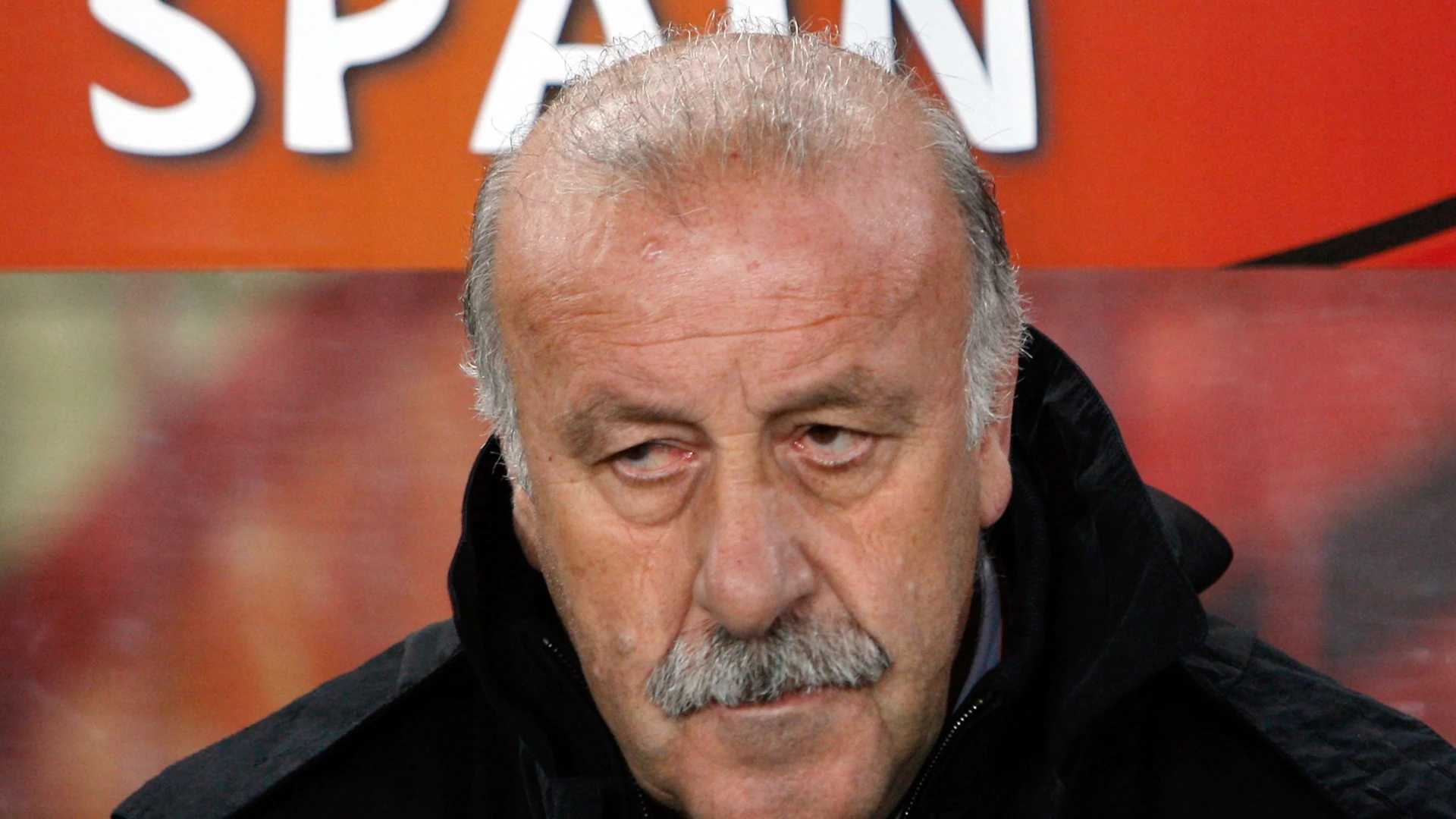 Vicente del Bosque: Mastermind Behind Spain's Football Glory