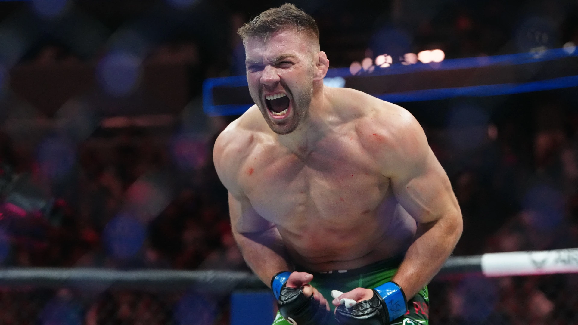 Usman vs. Du Plessis Fight Analysis: An Upcoming UFC Bout