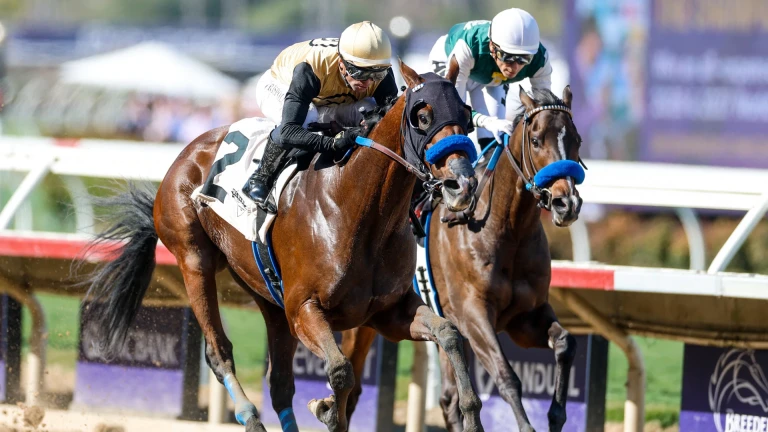 Revamping the Thoroughbred Industry for Young Fans